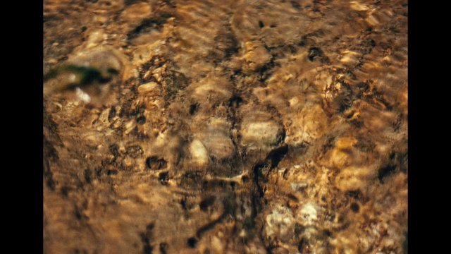 Video Reference: rock, stone, texture, close-up, abstract, brown, natural surface, macro, shallow focus, blur, ground, earth