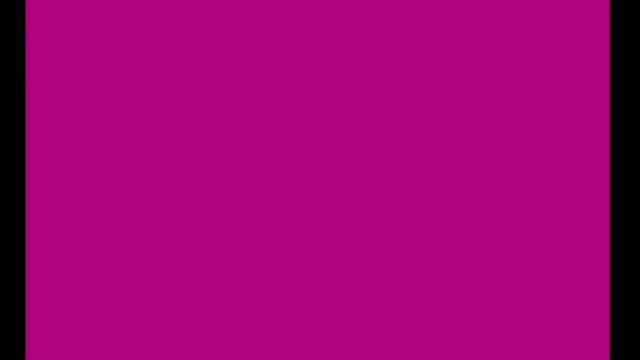 Video Reference: solid color, magenta, purple, abstract, background, blank screen, minimal, flat, video frame