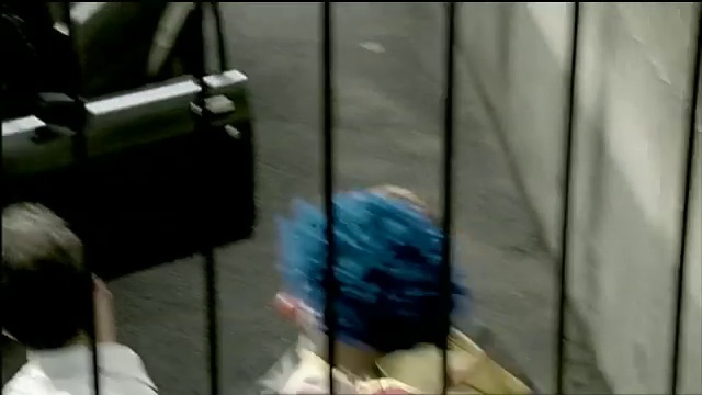 Video Reference: Tints and shades, Electric blue, Beak, Flooring, Metal, Bird, Glass, Shadow, Foot, Fur