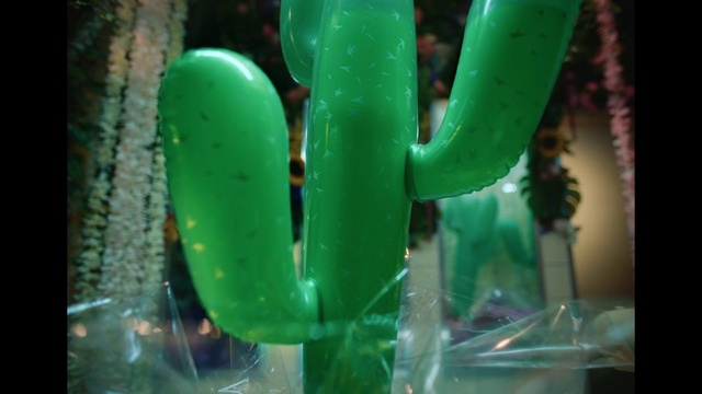 Video Reference: Green, Fluid, Terrestrial plant, Drinkware, Glass, Flowering plant, Electric blue, Transparent material, Macro photography, Plastic