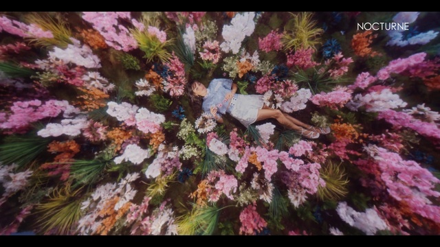 Video Reference: Flower, Plant, Petal, Organism, Twig, Pink, Groundcover, Tree, Art, Flowering plant