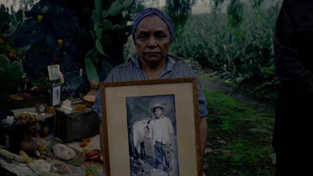 Video Reference: Plant, Temple, Artist, Art, Wrinkle, Picture frame, Painting, Event, Tree, Visual arts