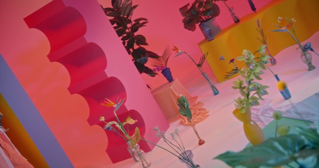 Video Reference: Plant, Leaf, Textile, Branch, Organism, Art, Pink, Petal, Creative arts, Font
