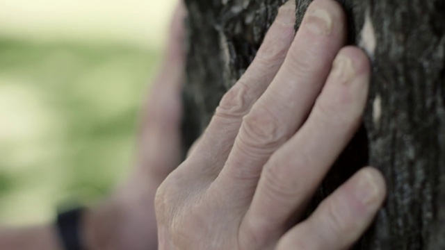 Video Reference: Hair, Hand, Eye, Plant, Human body, Gesture, Trunk, Wood, Eyelash, Finger