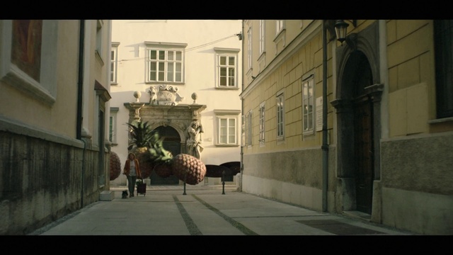 Video Reference: Building, Window, Plant, Road surface, House, Facade, Tints and shades, City, Door, Road