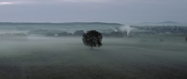 Video Reference: Cloud, Sky, Atmosphere, Plant, Fog, Natural landscape, Tree, Grey, Plain, Haze