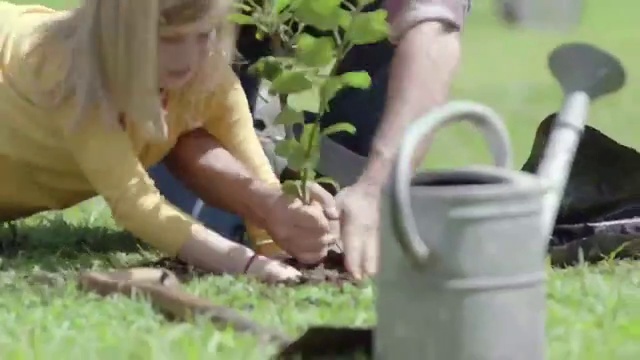 Video Reference: Hand, Plant, People in nature, Botany, Grass, Finger, Flowerpot, Terrestrial plant, Leaf vegetable, Thumb