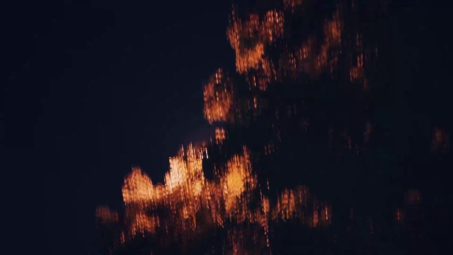 Video Reference: Sky, Plant, Fire, Wood, Flame, Natural landscape, Gas, Heat, Bonfire, Tree