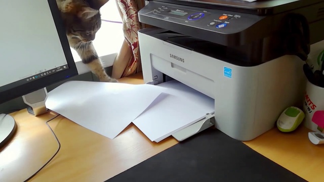 Video Reference: Computer desk, Output device, Computer, Peripheral, Desk, Table, Desktop computer, Gadget, Automotive design, Laser printing