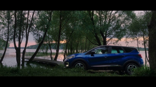 Video Reference: Wheel, Plant, Tire, Car, Vehicle, Automotive tire, Tree, Automotive design, Motor vehicle, Automotive lighting