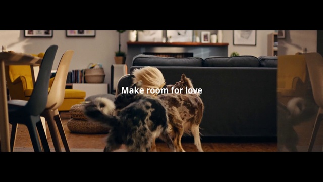 Video Reference: Furniture, Dog, Couch, Dog breed, Felidae, Comfort, Chair, Interior design, Carnivore, Wood