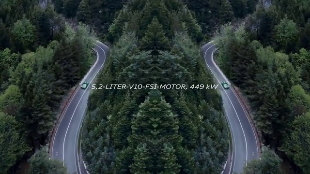 Video Reference: Plant, Road surface, Tree, Asphalt, Vegetation, Terrestrial plant, Natural landscape, Landscape, Thoroughfare, Forest