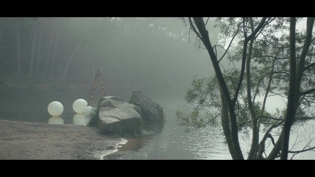 Video Reference: Water, Atmosphere, Plant, Tree, Natural landscape, Black-and-white, Atmospheric phenomenon, Lake, Watercourse, Tints and shades
