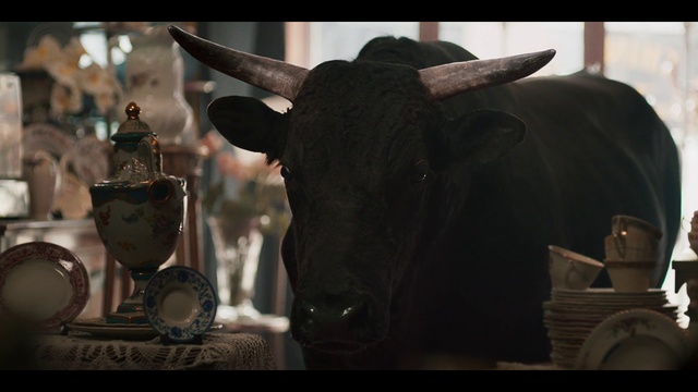 Video Reference: Working animal, Temple, Bull, Art, Horn, Event, Darkness, Livestock, Ox, Terrestrial animal