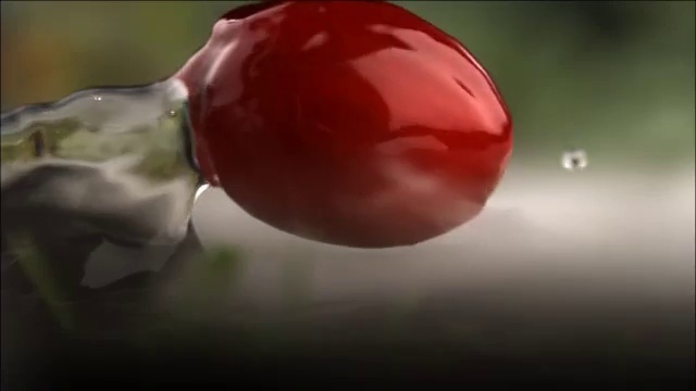 Video Reference: Ingredient, Food, Natural foods, Petal, Plant, Fruit, Liquid, Vegetable, Produce, Drop