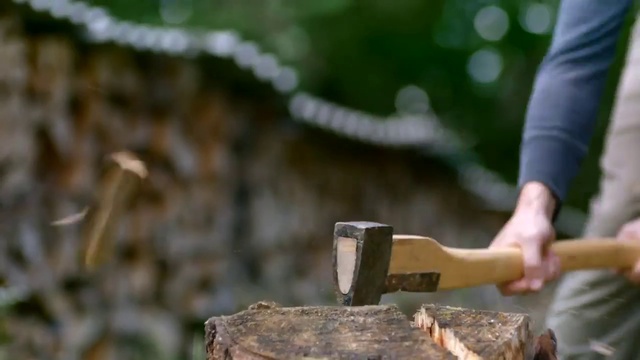 Video Reference: Wood, Gesture, Axe, Splitting maul, Trunk, Gas, People in nature, Tree, Hatchet, Soil