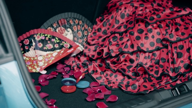 Video Reference: Shoe, Window, Hood, Textile, Pink, Art, Headgear, Petal, Red, Font