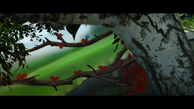 Video Reference: Window, Botany, Wood, Plant, Branch, Twig, Organism, Vegetation, Terrestrial plant, Natural landscape