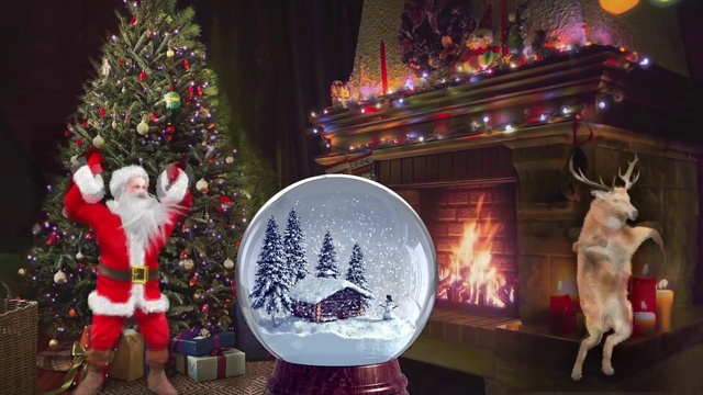 Video Reference: Christmas tree, Green, Light, Christmas ornament, Window, Plant, Christmas decoration, Tree, Holiday ornament, Red