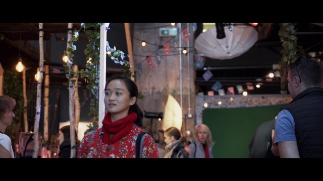 Video Reference: Temple, Entertainment, Fun, Magenta, Leisure, Event, City, Crowd, Tradition, Darkness