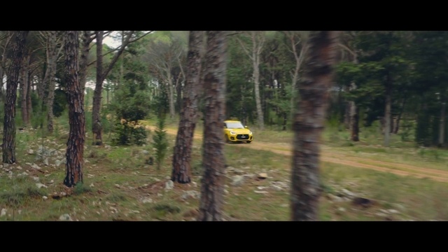 Video Reference: Plant, Vehicle, Tree, Car, Tire, Motor vehicle, Natural landscape, Truck, Wood, Terrestrial plant