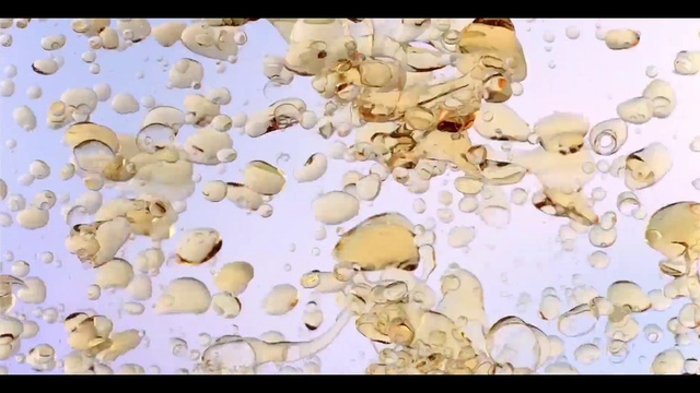 Video Reference: Organism, Font, Cuisine, Pattern, Design, Metal, Art, Petal, Circle, Still life photography