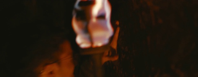 Video Reference: Nose, Jaw, Gesture, Fire, Wood, Flame, Fawn, Eyelash, Heat, Snout