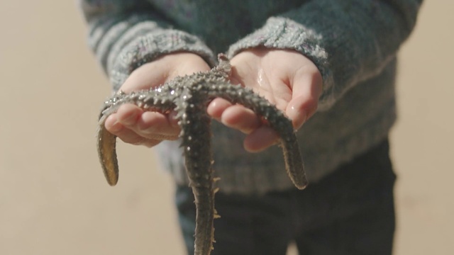 Video Reference: Sleeve, Reptile, Gesture, Finger, Scaled reptile, Thumb, Wrist, Nail, Foot, Terrestrial animal
