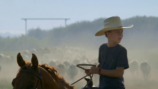 Video Reference: Horse, Sky, Vertebrate, Hat, Natural environment, Working animal, Mammal, Horse tack, Headgear, Horse supplies
