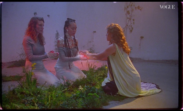 Video Reference: Plant, People in nature, Flash photography, Happy, Art, Event, Grass, Cg artwork, Fun, Visual arts