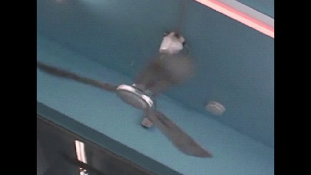 Video Reference: Wood, Vehicle door, Glass, Room, Recreation, Automotive exterior, Windshield, Ceiling, Rectangle, Metal