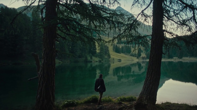 Video Reference: Water, Plant, Natural landscape, Branch, Wood, People in nature, Tree, Sky, Trunk, Sunlight