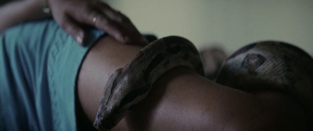 Video Reference: Leg, Human body, Comfort, Knee, Gesture, Thigh, Elbow, Reptile, Wrist, Trunk