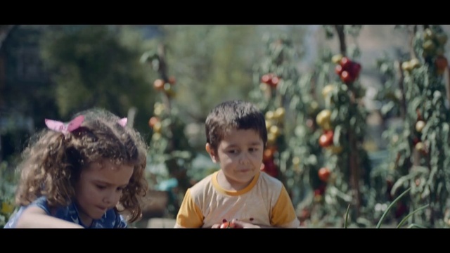 Video Reference: Photograph, Plant, Happy, People in nature, Gesture, Flash photography, Flower, Sharing, Grass, Adaptation