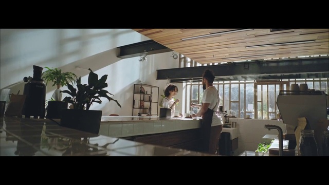 Video Reference: Plant, Building, Flowerpot, Houseplant, Wood, Glass, Flooring, Shade, Ceiling, Metal