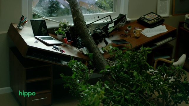 Video Reference: Plant, Motor vehicle, Wood, Table, Automotive exterior, Houseplant, Grass, Desktop computer, Machine, Vehicle door