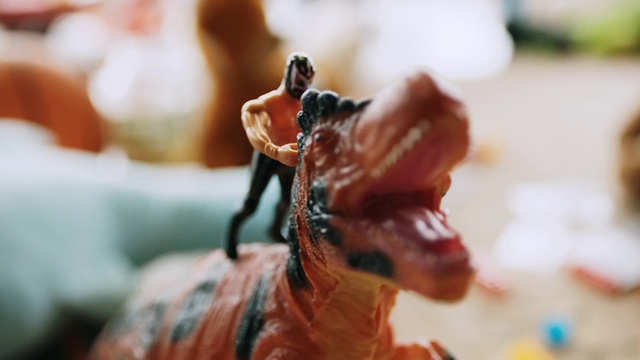 Video Reference: Eye, Toy, Wood, Plant, Fawn, Eyelash, Cuisine, Tree, Twig, Ingredient