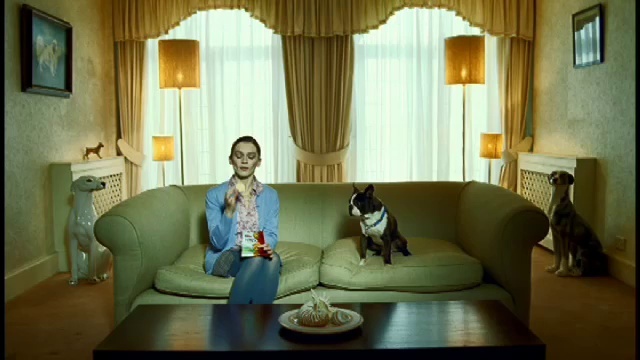 Video Reference: Table, Furniture, Couch, Window, Dog, Comfort, Picture frame, Curtain, Interior design, Living room