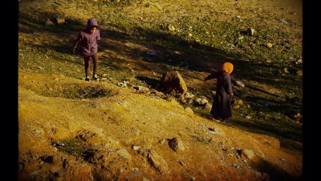 Video Reference: People in nature, Slope, Plant, Grass, Terrain, Wood, Landscape, Grassland, Recreation, Geological phenomenon