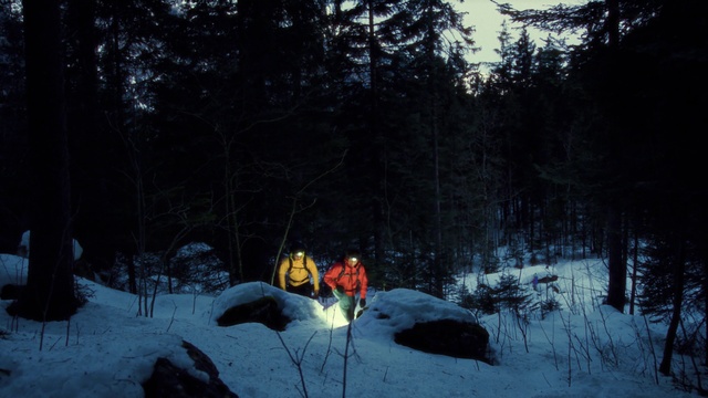 Video Reference: Plant, Snow, Natural landscape, Slope, Tree, Sky, Freezing, Landscape, Grass, Forest