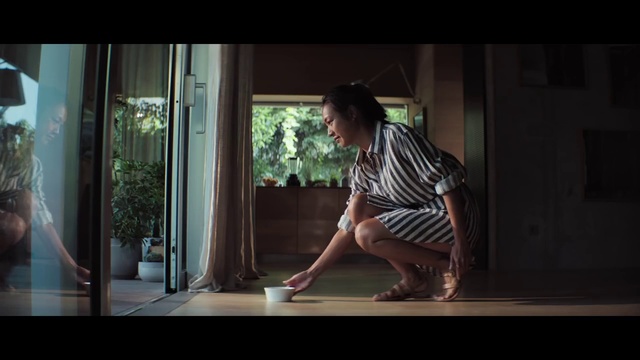 Video Reference: Plant, Window, Flash photography, Wood, Floor, Knee, Flooring, Elbow, Hardwood, Tints and shades