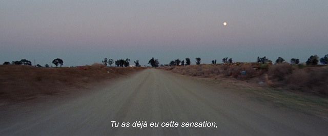 Video Reference: Sky, Plant, Plant community, Ecoregion, Moon, Tree, Natural landscape, Atmospheric phenomenon, Asphalt, Horizon