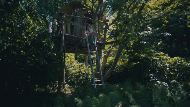 Video Reference: Plant, Branch, Tree, Wood, Trunk, Natural landscape, Grass, Shrub, Landscape, Tints and shades