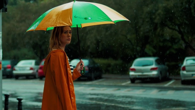 Video Reference: Water, Car, Umbrella, Light, Vehicle, Green, Orange, Automotive lighting, Yellow, Travel