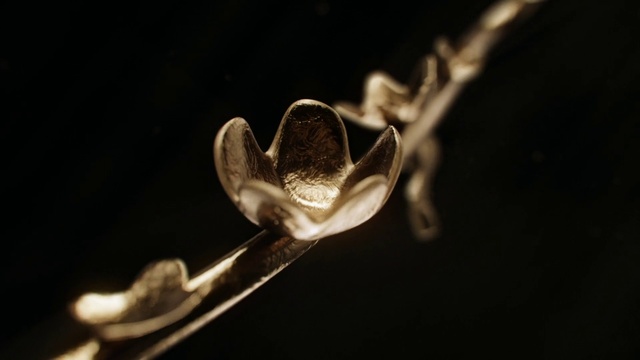 Video Reference: Plant, Flash photography, Kitchen utensil, Tableware, Twig, Cutlery, Petal, Darkness, Fashion accessory, Macro photography