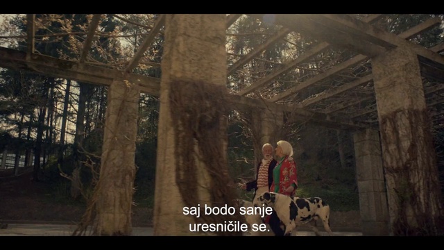 Video Reference: Flash photography, Temple, Wood, Carnivore, Tree, Tints and shades, Cg artwork, Trunk, Darkness, Forest