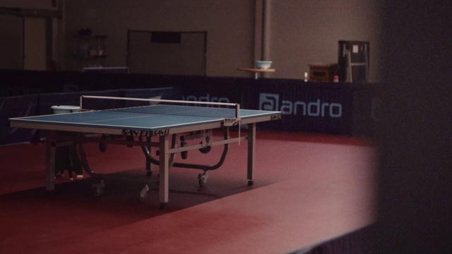Video Reference: Table, Ping pong, Racquet sport, Table tennis racket, Wood, Recreation room, Rectangle, Flooring, Ball game, Window
