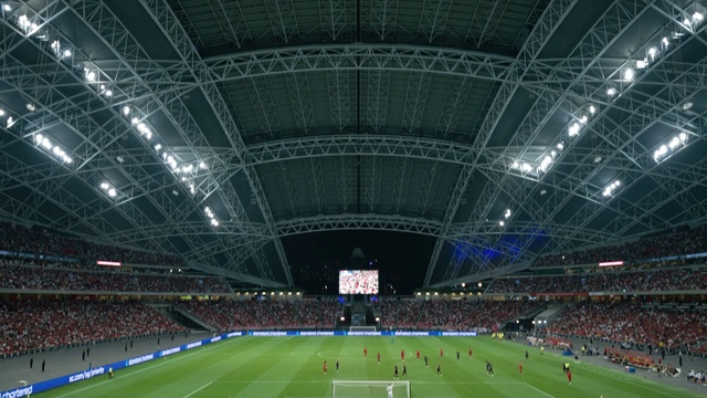 Video Reference: Atmosphere, Sports equipment, Field house, Light, Blue, Player, Grass, Football, Leisure, Fan