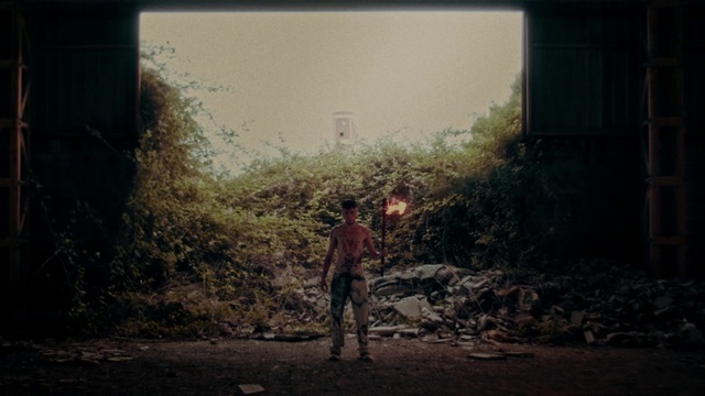 Video Reference: Atmosphere, Plant, Window, Sunlight, Wood, Atmospheric phenomenon, Grass, Road surface, Asphalt, Sky