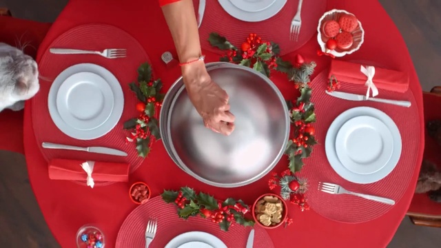 Video Reference: Tableware, Dishware, Musical instrument, Idiophone, Plate, Cuisine, Serveware, Dish, Tom-tom drum, Circle